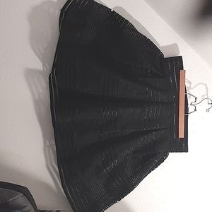 Black striped A line skirt